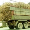沖縄県で冬の風物詩といえば。。。サトウキビを山積みにして走っているトラック