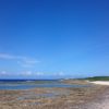 沖縄の青い海でシュノーケル！海を覗くと小魚がすぐに寄ってくる。