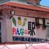 「おんなの駅」で発見！見ているだけで楽しい沖縄県産の不思議な野菜や果物達。