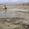 沖縄で子連れで遊べる穴場のビーチを紹介！（動画）
