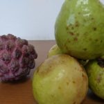 沖縄の果物（フルーツ）？何コレ？食べれるの？グロテスクな形のバンレイシ。