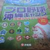 プロ野球沖縄キャンプには、このガイドブック１冊があれば大丈夫！
