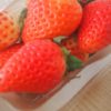 【ふるさと納税】今が旬のイチゴ、”さがほのか”が５０００円から寄付できます。