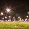沖縄県の夜の観光スポット「キクミネーション」でインスタ映えの写真を